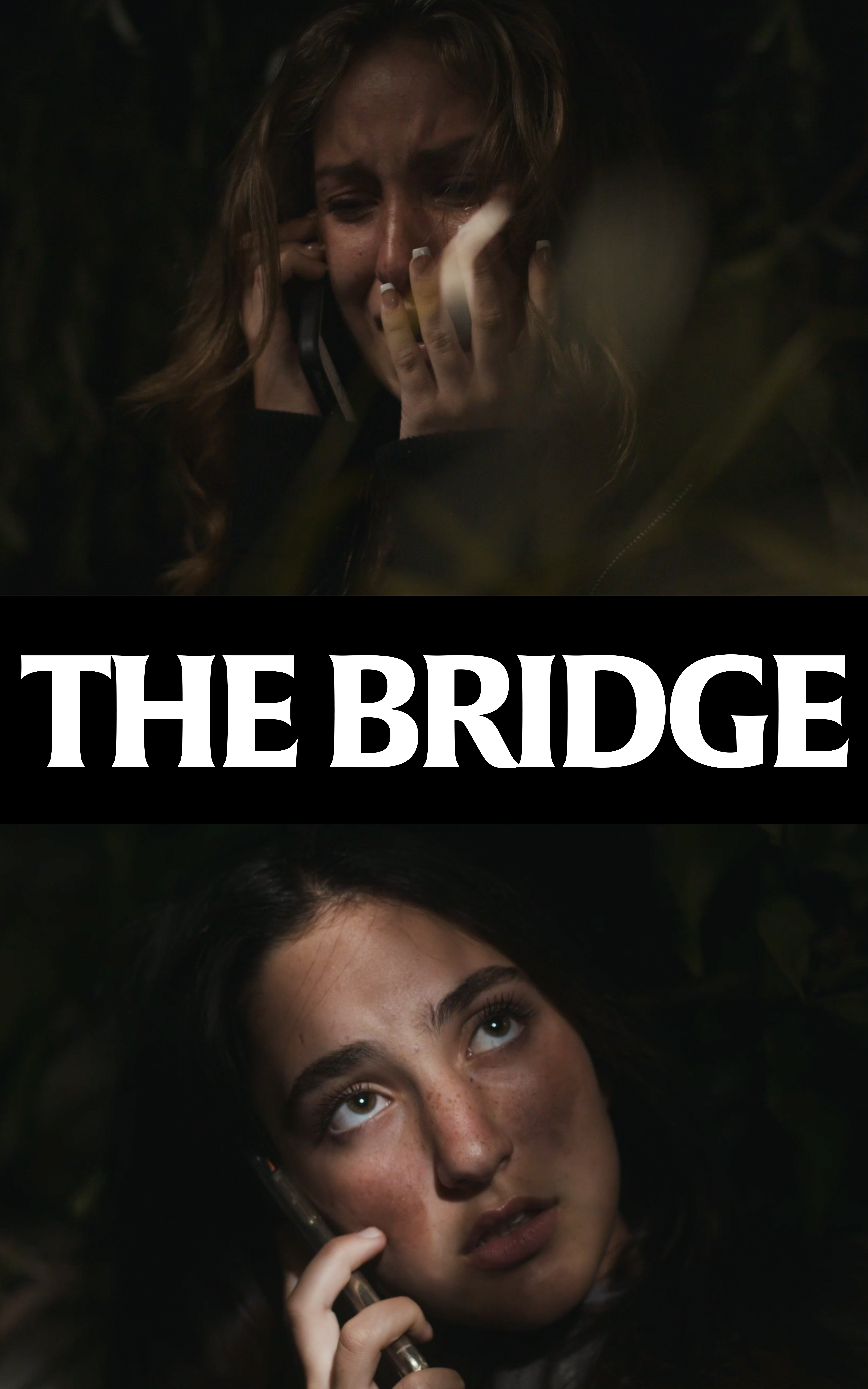 The Bridge (2020)