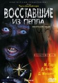 Восставшие из пепла (2007)