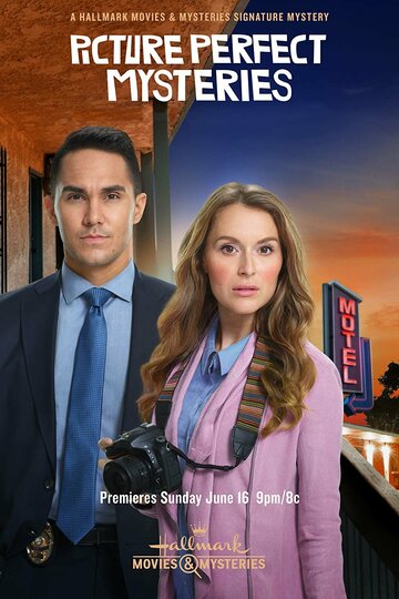 Picture Perfect Mysteries: Newlywed and Dead (2019)