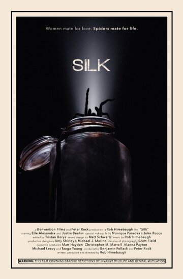 Silk (2014)